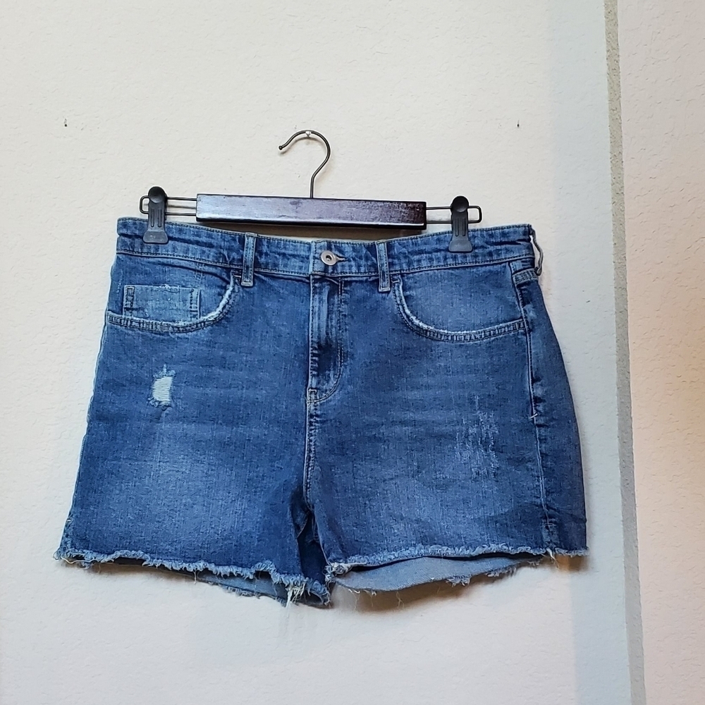 Pilcro and the Letterpress denim shorts size 31